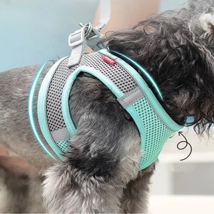 Blue Aqua Pet Harness size small
